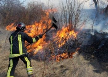 В столице пожарные тушат возгорание сухой травы