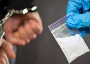 Полиция задержала подозреваемых в распространении наркотиков в особо крупных размерах