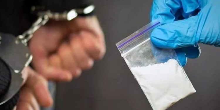 Полиция задержала подозреваемых в распространении наркотиков в особо крупных размерах