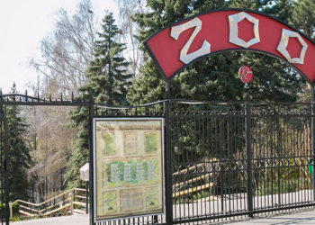 Demiterea directorului Grădinii Zoologice din Chișinău, Alexei Hanţaţuc. Autoritățile capitalei anunță motivele deciziei la o lună după concendiere | VIDEO