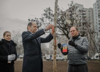 В память о жертвах землетрясения в Турции: в столице появились “пять аллей турецких городов”