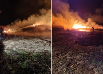 Incendiile de vegetație uscată iau amploare în Tulcea. 110 hectare au ars sâmbătă în Delta Dunării. Pompierii au intervenit