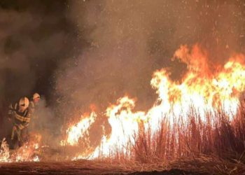 Incendii devastatoare în Estul Spaniei: Peste o mie de persoane evacuate din trei localități | VIDEO