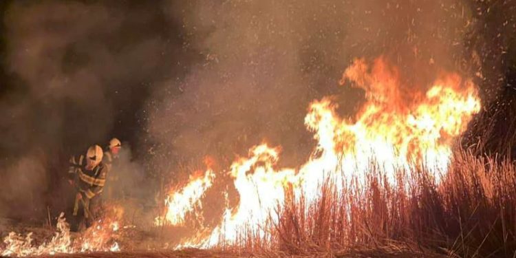 Incendii devastatoare în Estul Spaniei: Peste o mie de persoane evacuate din trei localități | VIDEO