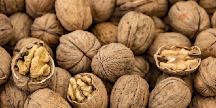 Суд вынес приговор руководителям кишиневских компаний за контрабанду грецкого ореха на миллионы леев | VIDEO