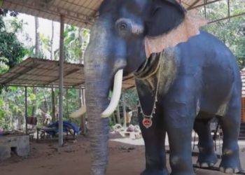 В индийском храме живого слона заменили на механического. Этого добились защитники животных