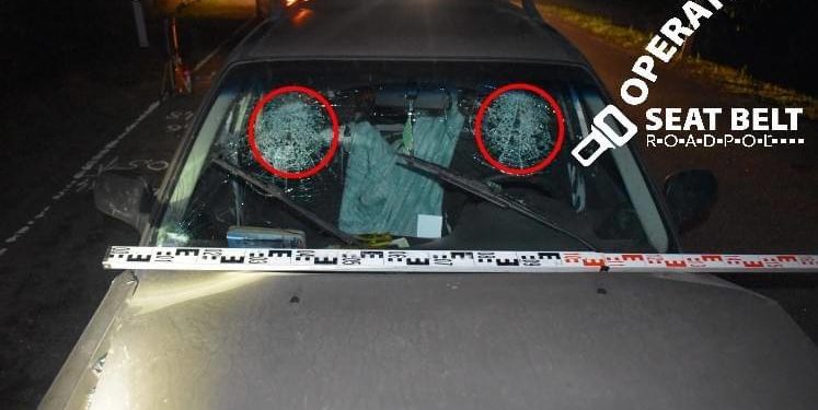 В Молдове пройдет операция Seat Belt. Полиция будет проверять соблюдается ли требование пристегивать ремни безопасности