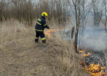В Молдове за последние сутки выгорело около 30 гектаров земли