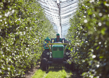Seceta, războiul din ţara vecină și creșterea costurilor de transport îngreunează activitatea agricultorilor. 20% din cei care se ocupă cu fructele au refuzat să o mai facă, iar fermierii așteaptă susținere de la guvernare | VIDEO