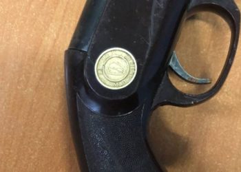 Заграничный “гостинец”: где обнаружили таможенники незадекларированное ружье? | VIDEO