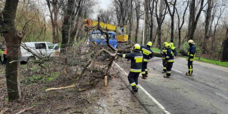 Premier Energy: Crengile copacilor au distrus mai multe conductoare electrice în 12 raioane din țară: 32 de localități au rămas în beznă  | VIDEO