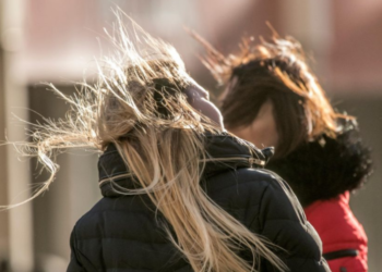 Vânt puternic în Moldova! Pompierii atenționează oamenii să nu aprindă vegetația uscată | VIDEO