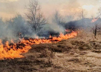 Incendiu de vegetație la Rîșcani. Oamenii legii caută făptașii