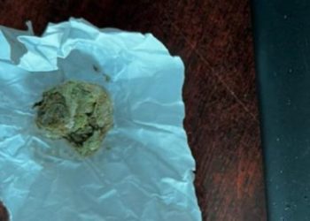 Иностранец хотел ввезти в Молдову марихуану для “личного потребления”: где его задержали?