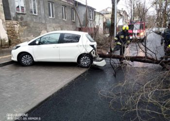 Vântul puternic face ravagii în toată ţara: Copaci dobărâți, mașini distruse, fire electrice rupte și drumuri blocate | VIDEO