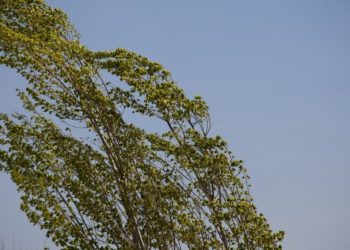 Îmbrăcați-vă bine! Mâine se așteaptă ploi slabe și vânt moderat