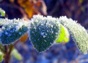 Cod Galben de înghețuri: Meteorologii anunță situația țării | VIDEO