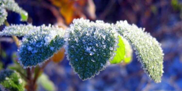 Cod Galben de înghețuri: Meteorologii anunță situația țării | VIDEO