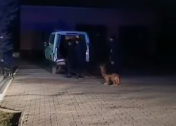 Două cauze penale, pornite pentru organizare a migrației ilegale și corupere activă