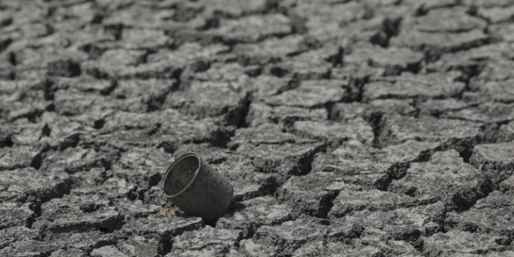 Raport: Europa s-ar putea confrunta cu o secetă gravă în această vară. România, printre țările afectate