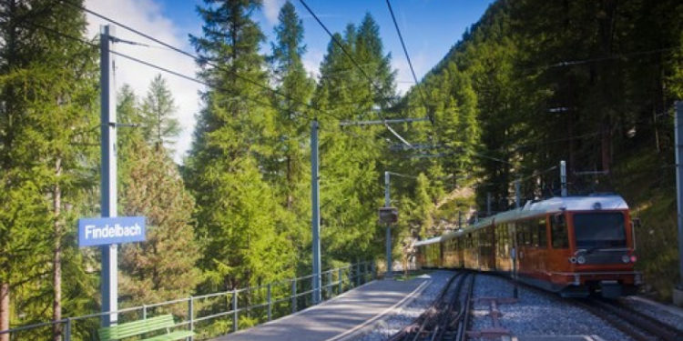 Două trenuri au deraiat în Elveția. Mai mulți oameni au fost răniți