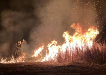 Peste 30 de incendii de vegetație, produse în 24 de ore: 70 de Ha de teren – compromise