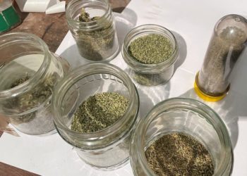 Marijuana de 600.000 de lei ridicată, după ce un șofer drogat a fost tras pe dreapta