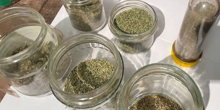 Marijuana de 600.000 de lei ridicată, după ce un șofer drogat a fost tras pe dreapta