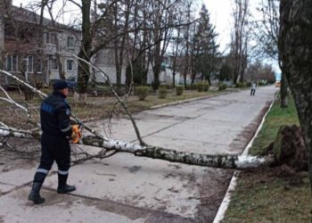 Peste 200 de copaci au fost doborâți de vânt în Chișinău. Cum va fi vremea miercuri?