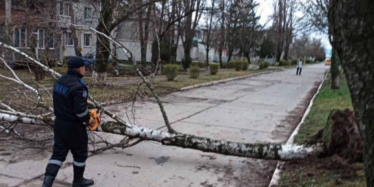 Peste 200 de copaci au fost doborâți de vânt în Chișinău. Cum va fi vremea miercuri?