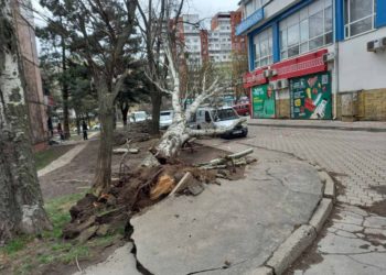 Curți de blocuri rămase fără lumină, copaci doborâți și persoane rănite. Consecințele vântului puternic din ultimele 24 de ore | VIDEO