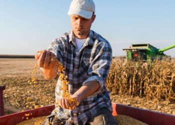 Fermierii cer Guvernului să achite datoriile de 1.4 miliarde de lei | VIDEO