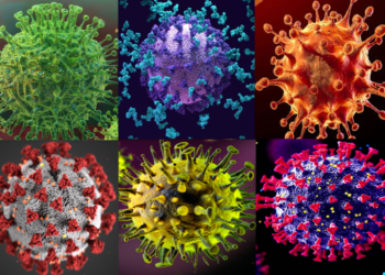 Un nou virus mutant ar putea evolua în curând pentru a infecta şi ucide milioane de oameni