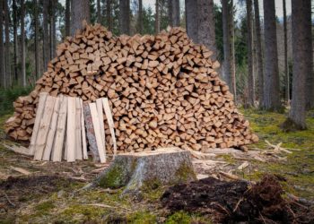 CSE a ajustat mecanismul de repartizare a lemnului către populație: gospodăriile vor putea cumpăra maxim 5 metri steri