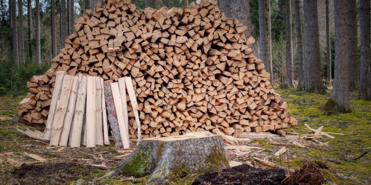 CSE a ajustat mecanismul de repartizare a lemnului către populație: gospodăriile vor putea cumpăra maxim 5 metri steri