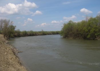 Синоптики предупредили о повышении уровня воды в Пруте в районе Костешт