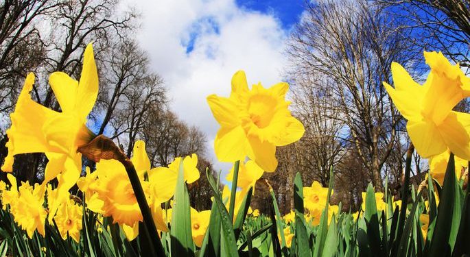 Ощутимо теплее и без осадков: какая погода ждет жителей Молдовы в субботу?