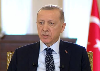 Член Совбеза Турции ответил на слухи об инфаркте у Эрдогана