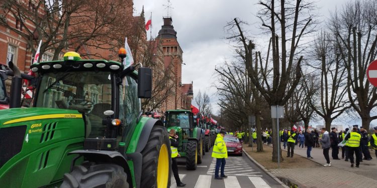 Фермеры в Румынии и Болгарии протестуют из-за перенасыщения их рынков зерном с Украины