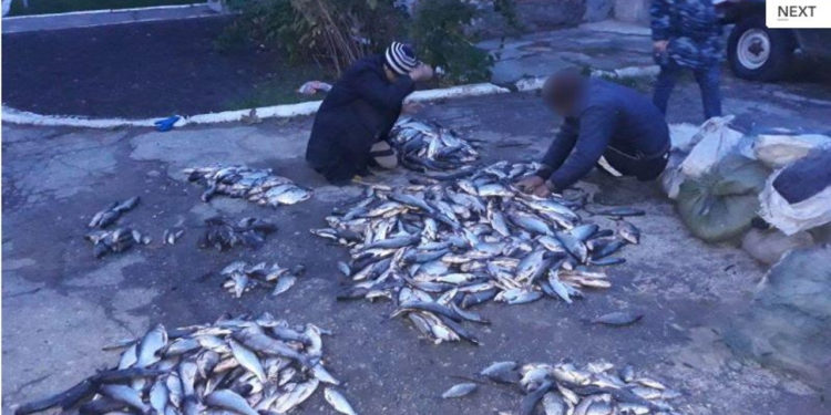 Amenzi aspre pentru pescuit ilegal la Cahul