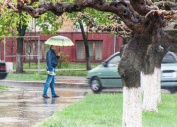 A plouat cu gheață în stânga Nistrului. Grindina s-a așternut printre printre plante în plină floare | VIDEO