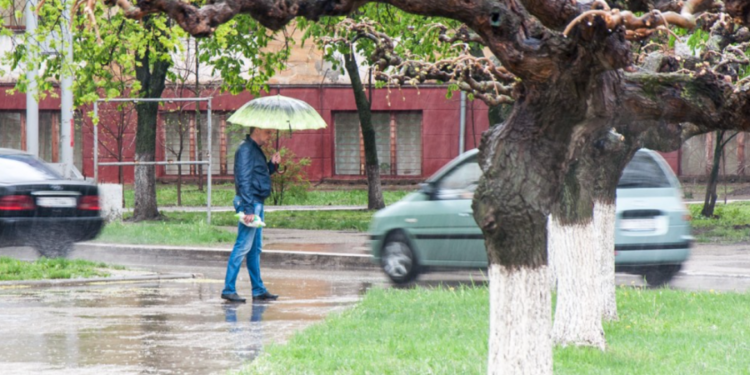 A plouat cu gheață în stânga Nistrului. Grindina s-a așternut printre printre plante în plină floare | VIDEO