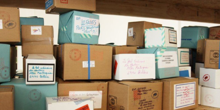 Colete din Moldova, respinse la frontiera UE! Erau transportate în condiții necorespunzătoare