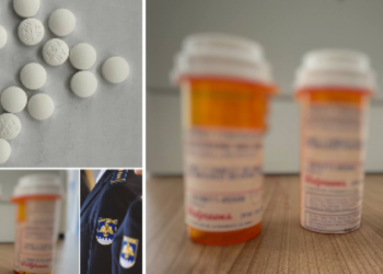 Pastile psihotrope, transportate în mod ilicit, depistate la vamă: În ce țară urmau să ajungă