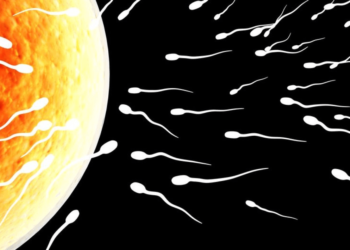 Un olandez, tatăl a peste 550 de copii, dat în judecată pentru a fi oprit să-și mai doneze sperma