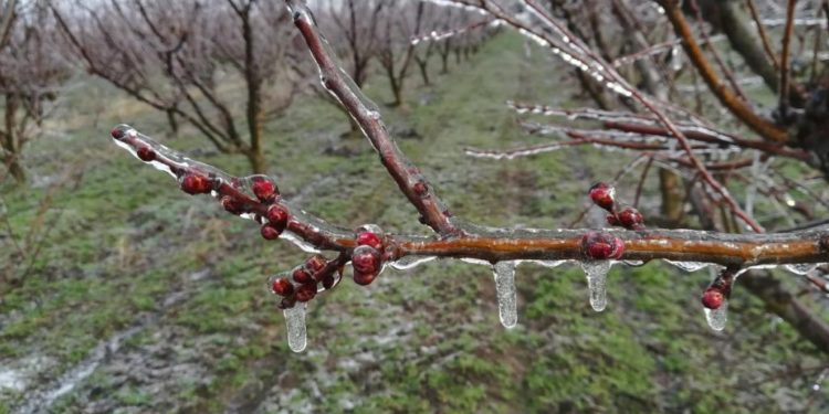 Înghețuri și precipitații puternice: două coduri galbene pentru Republica Moldova | VIDEO