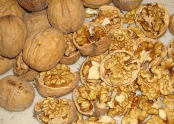 Contrabandă cu miez de nucă în România și Turcia: Suspectul trimis pe banca acuzaților pentru evaziune fiscală de 3,7 milioane de lei