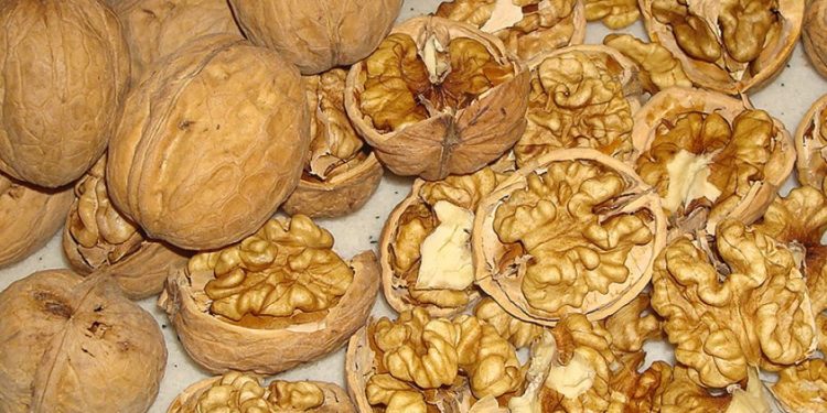 Contrabandă cu miez de nucă în România și Turcia: Suspectul trimis pe banca acuzaților pentru evaziune fiscală de 3,7 milioane de lei