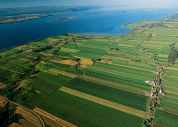 Mai mulți români au murit în timp ce încercau să intre ilegal în Statele Unite