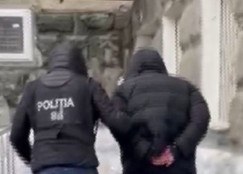 Opt persoane, lăsate fără 670.000 de lei într-o schemă de tip „piramidă” de promovare a aplicației „MafaLike” pentru o remunerare de doi euro per „like”